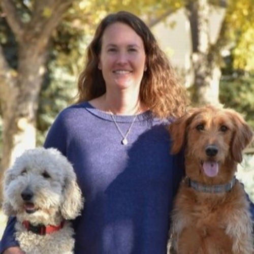 Upload Profile Photo